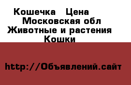 Кошечка › Цена ­ 10 - Московская обл. Животные и растения » Кошки   